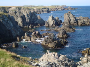 Newfoundland 2011 325